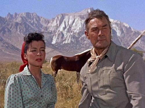 Mostra: Os Faroestes de Budd e Scott