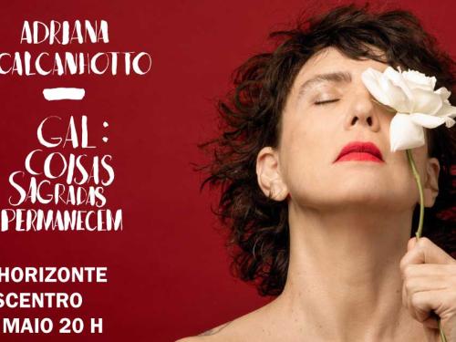 Show: Adriana Calcanhoto
