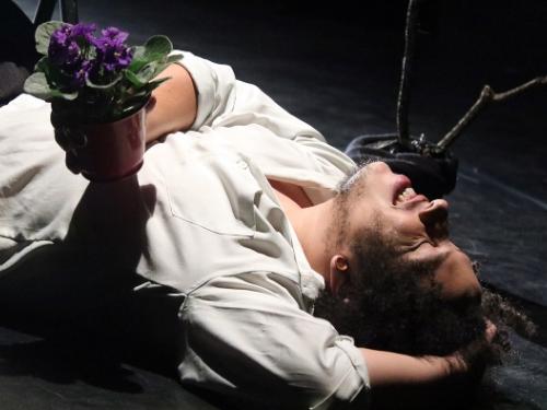  5ª Edição: “Me Mostra – Mostra de Cenas Curtas”