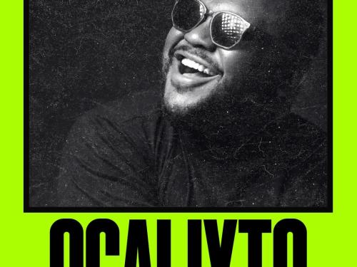 Festa "Panthera" - Mira! Centro Cultural