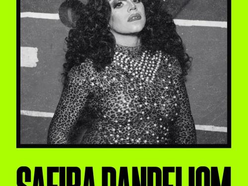 Festa "Panthera" - Mira! Centro Cultural