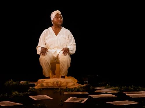 7ª Mostra Benjamin de Oliveira