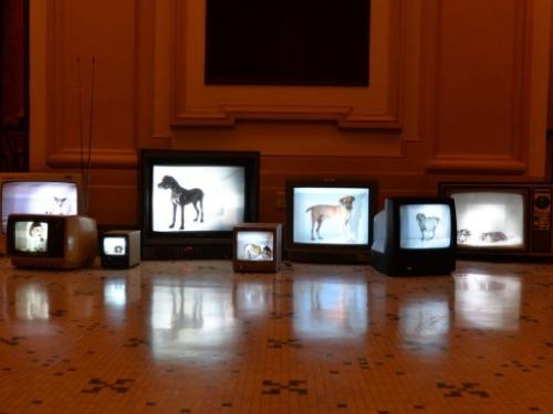 Exposição: Retro/Ativa de Eder Santos | Memorial Vale