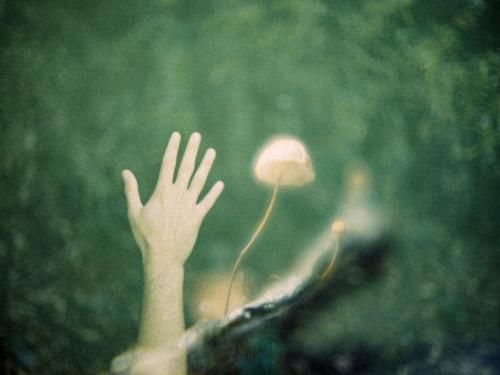 Exposição: Simbiogêneses, de Tuane Eggers