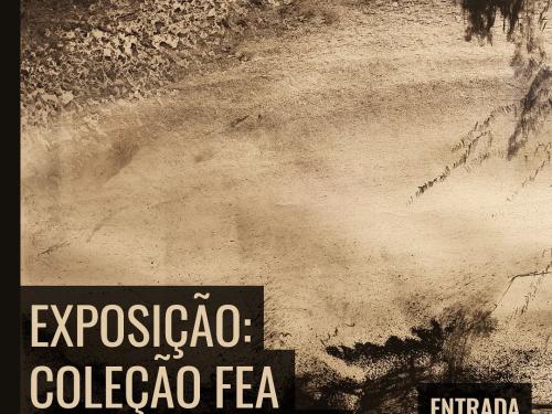 Exposição: “Coleção FEA”