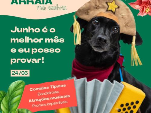 Arraiá na Selva - Jângal 