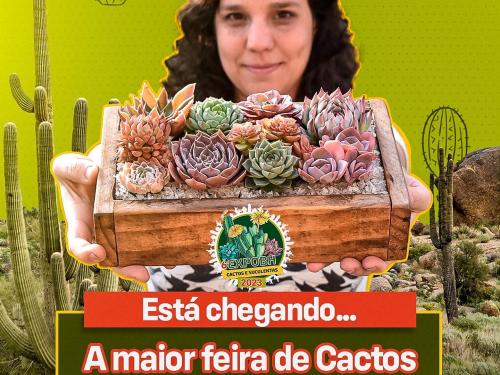 6° Exposição de Cactos e Suculentas