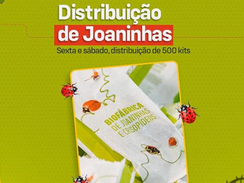 6° Exposição de Cactos e Suculentas