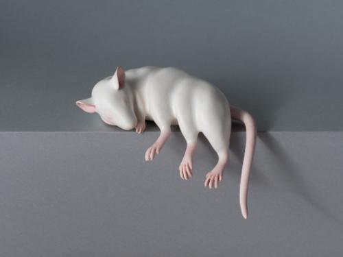 Exposição: Fístula