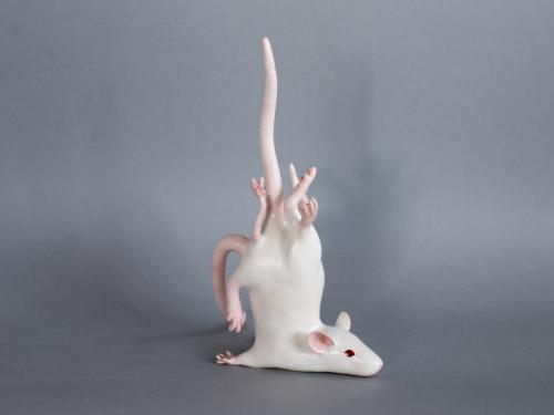 Exposição: Fístula