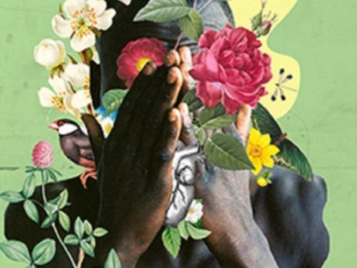 Exposição Colagens - Júnio Santos