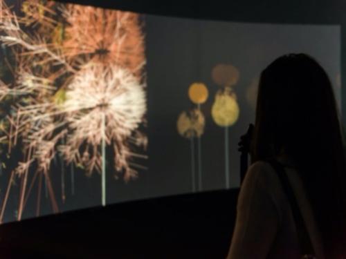 Exposição interativa: Arte Cibernética – Obras da Coleção Itaú Cultural