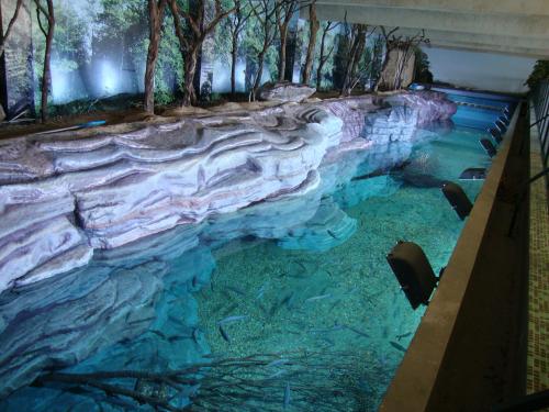 Tanque Maior do Aquário do Rio São Francisco