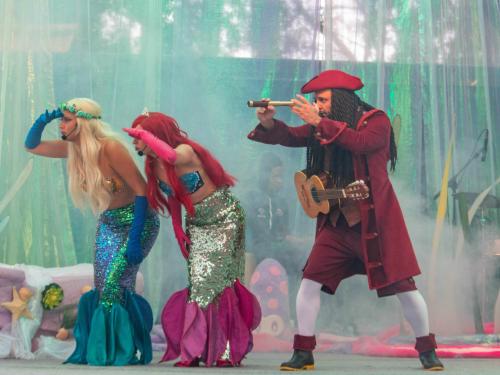 O Tubarão Martelo e os habitantes do fundo do mar