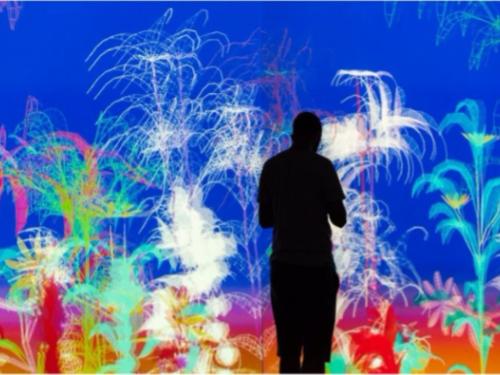 Exposição interativa: Arte Cibernética – Obras da Coleção Itaú Cultural