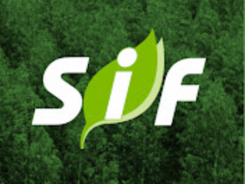 V REFOREST - Simpósio Nacional sobre Restauração Florestal 2023