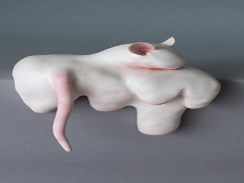 Exposição: Fístula