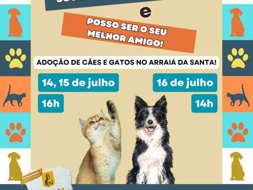 Arraiá da Santa 2023