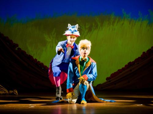 Espetáculo: O Pequeno Príncipe