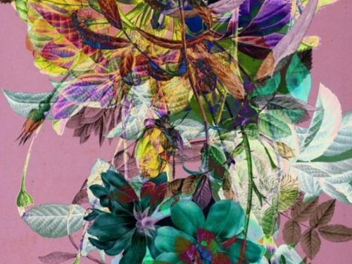 Brígida Campbell: Ao Lado de um Pardal o Dia Dorme Antes