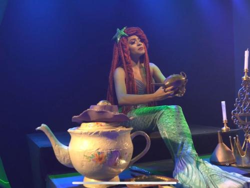 Espetáculo musical: “Os Saltimbancos”