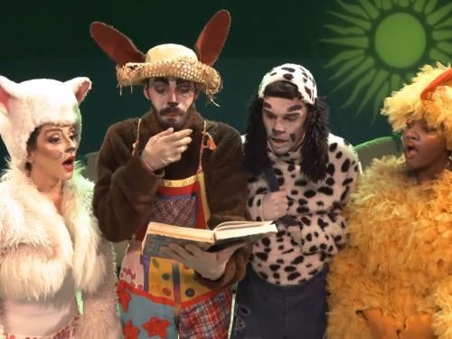 Espetáculo musical: “Os Saltimbancos”