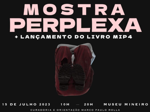 Mostra Perplexa no Museu Mineiro