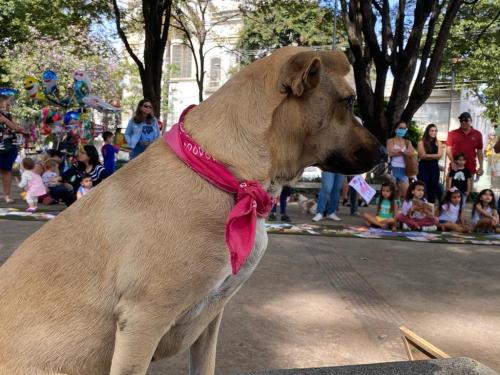 “Santa Leitura – Uma Biblioteca a Céu Aberto”