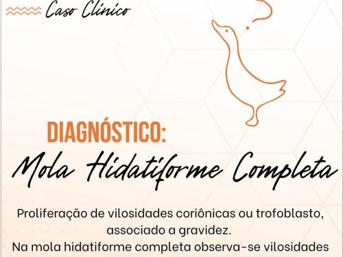 XXIV PATOSHOW - 2023 - Congresso Acadêmico Internacional de Patologia