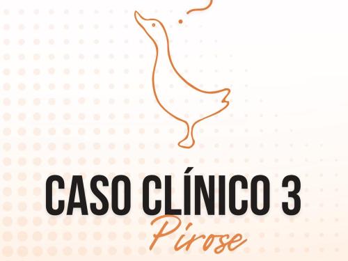 XXIV PATOSHOW - 2023 - Congresso Acadêmico Internacional de Patologia