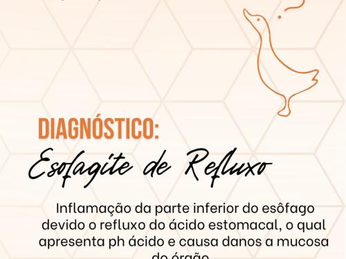 XXIV PATOSHOW - 2023 - Congresso Acadêmico Internacional de Patologia