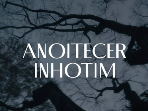 Festa: Anoitecer Inhotim