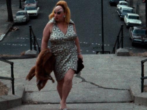 Sessão da Meia-Noite - Palácio das Artes