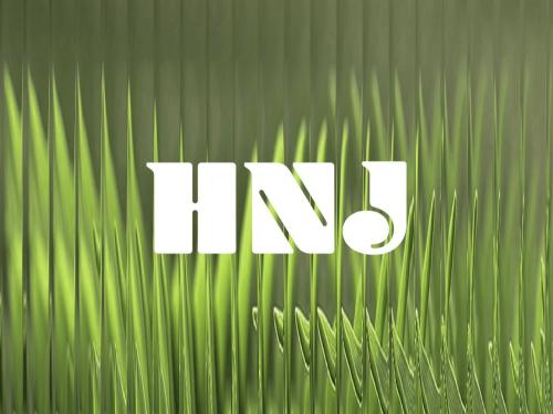 2ª Edição: House no Jardim - Parque do Palácio