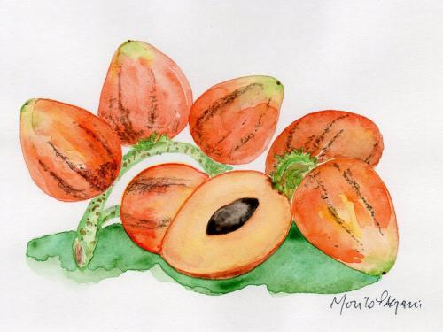 Exposição: ‘Poesia Afrocolombiana’