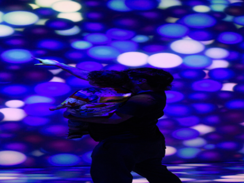 Exposição: OCEANVS - Imersão em Azul