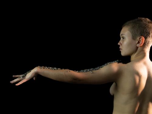 5ª Edição: Projeto Solo em Foco