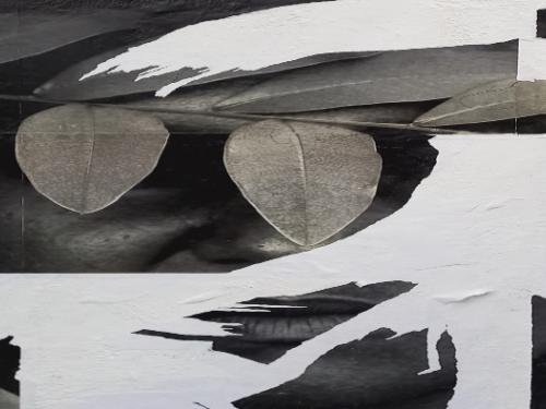 Exposição: Como pisar suavemente na terra