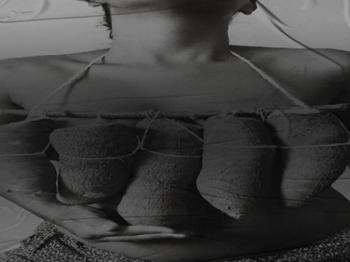 Exposição: Como pisar suavemente na terra