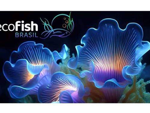 Eco Fish Brasil 2023