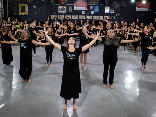 Ensaio É Vida Casulo