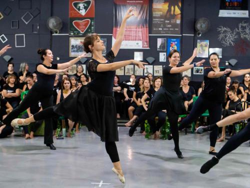 Ensaio É Vida Casulo