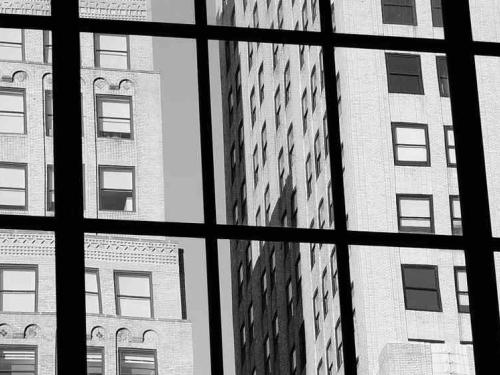 Exposição: “Contraposto”