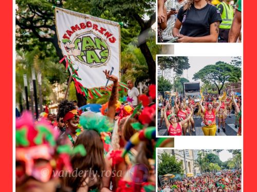 Ensaio e Cortejo - Bloco Tamborins Tantãs