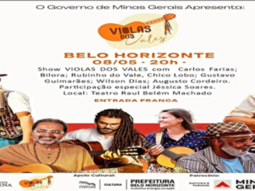 Festival Violas dos Vales