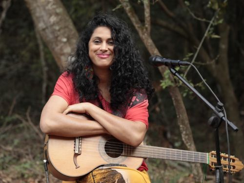 Festival Violas dos Vales