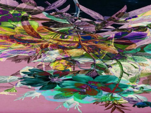  Residência Artística: "Ecologia Insurgente na Cidade-Organismo"