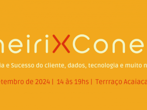MineiriX Conecta