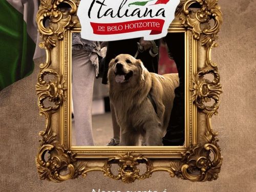 15° Festa Tradicional Italiana de Belo Horizonte