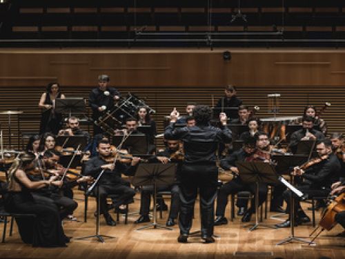 Concerto: "Sons da Primavera”, com a Orquestra OVO